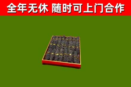 崇明回收海参